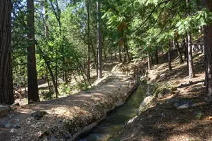 18861 Lookout Dr, Twain Harte, CA 95383 - Photo 12