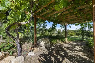 547 Mission Vineyard Rd, San Juan Bautista, CA 95045 - Photo 16