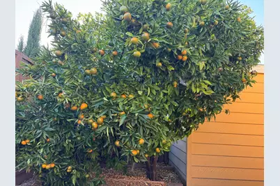 1225 Vienna Dr 604, Sunnyvale, CA 94089 - Photo 18