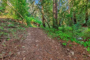 Adamo Ranch Carmel Valley Rd, Carmel, CA 93923 - Photo 10