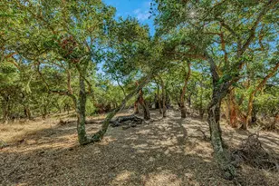 Adamo Ranch Carmel Valley Rd, Carmel, CA 93923 - Photo 68