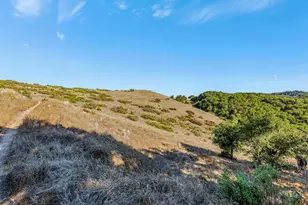 Adamo Ranch Carmel Valley Rd, Carmel, CA 93923 - Photo 38