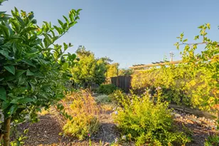 22720 Picador Dr, Salinas, CA 93908 - Photo 36