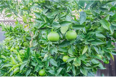 22720 Picador Dr, Salinas, CA 93908 - Photo 40