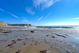 275 Davenport Landing Rd, Davenport, CA 95017 - Photo 148