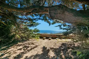 275 Davenport Landing Rd, Davenport, CA 95017 - Photo 146