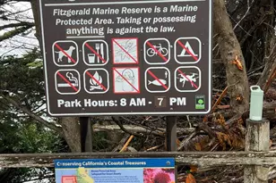 855 San Ramon Ave, Moss Beach, CA 94038 - Photo 58