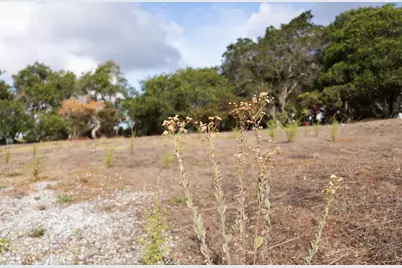 18221 Berta Canyon Rd, Salinas, CA 93907 - Photo 12