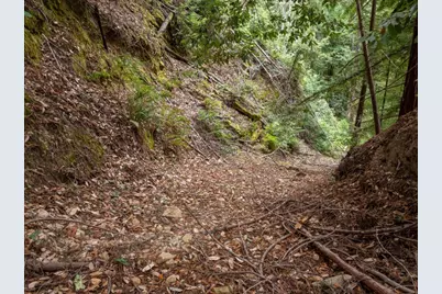 02 Bear Creek, Boulder Creek, CA 95006 - Photo 6