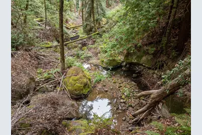 02 Bear Creek, Boulder Creek, CA 95006 - Photo 30