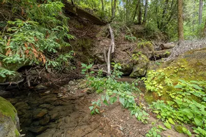 02 Bear Creek, Boulder Creek, CA 95006 - Photo 22