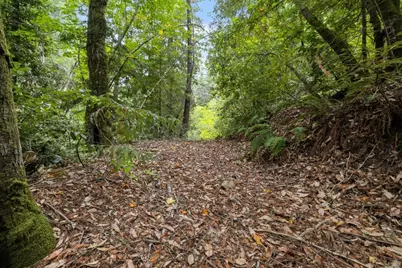 02 Bear Creek, Boulder Creek, CA 95006 - Photo 4