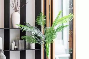 3413 Ross Rd, Palo Alto, CA 94303 - Photo 8