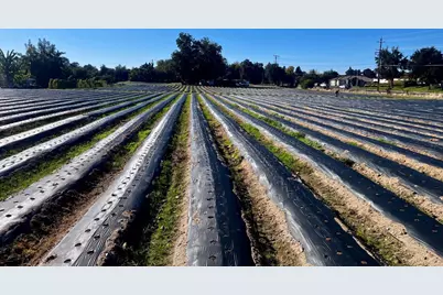 7314 Santa Juanita Ave, Orangevale, CA 95662 - Photo 12