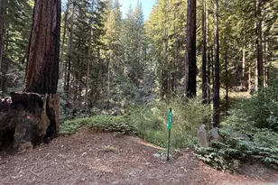 449 Band Rd, Boulder Creek, CA 95006 - Photo 1