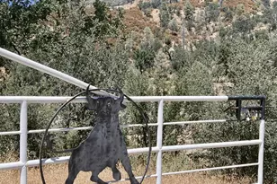 20505 Coalinga Rd, Paicines, CA 95043 - Photo 30