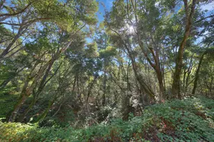 900 Mesa Grande Rd, Aptos, CA 95003 - Photo 10
