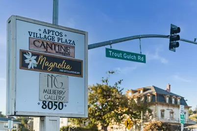 900 Mesa Grande Rd, Aptos, CA 95003 - Photo 30