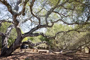 20 Marquard Rd, Carmel Valley, CA 93924 - Photo 24
