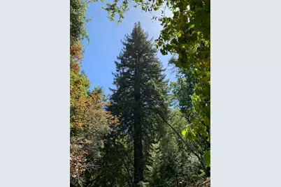 20406 Harvey Way, Los Gatos, CA 95033 - Photo 6