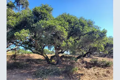 19705 Moonglow Rd, Salinas, CA 93907 - Photo 12