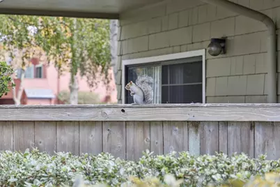 1016 Shoreline Dr, San Mateo, CA 94404 - Photo 50