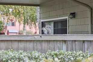 1016 Shoreline Dr, San Mateo, CA 94404 - Photo 50