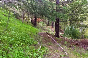 1215 Tournament Dr, Hillsborough, CA 94010 - Photo 180