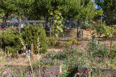 22163 Miller Ridge Rd, Los Gatos, CA 95033 - Photo 62