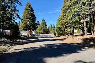 3209 Woodlake Dr, Lake Almanor, CA 96137 - Photo 28