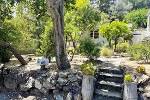 14 Belle Ave, San Rafael, CA 94901 - Photo 40