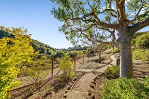 153 Castillo Ct, Aptos, CA 95003 - Photo 30