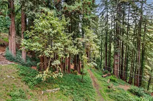 20851 Assiniboine Trail, Los Gatos, CA 95033 - Photo 30