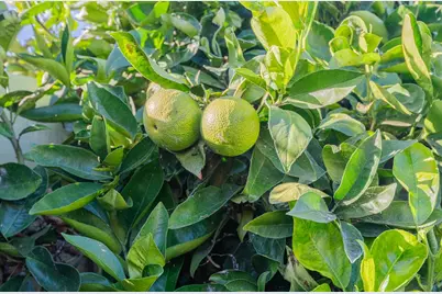 194 Riker Ter, Salinas, CA 93901 - Photo 36