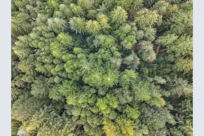 1365 Caledonia Ave, Ben Lomond, CA 95005 - Photo 18