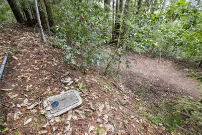 1365 Caledonia Ave, Ben Lomond, CA 95005 - Photo 10