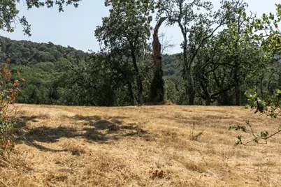 39 Arroyo Sequoia, Carmel Valley, CA 93923 - Photo 6