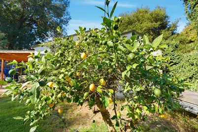 1908 Cooley Ave, East Palo Alto, CA 94303 - Photo 34