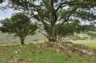0 Salinas Rd, San Juan Bautista, CA 95045 - Photo 1
