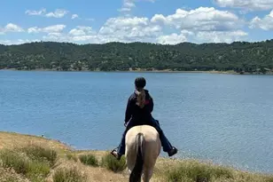 3485 Stable Ln, Santa Cruz, CA 95065 - Photo 10