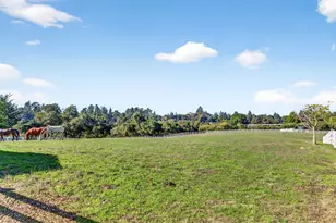 3485 Stable Ln, Santa Cruz, CA 95065 - Photo 18