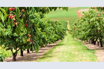 4405 Davidson, Gilroy, CA 95020 - Photo 2