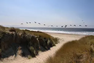 101 Shell Dr 45, La Selva Beach, CA 95076 - Photo 6