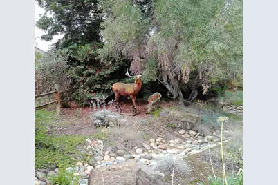 1388 Sonnys Way, Hollister, CA 95023 - Photo 2