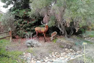 1388 Sonnys Way, Hollister, CA 95023 - Photo 2