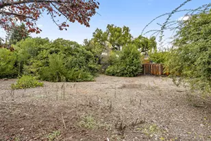 2262 Louis Rd, Palo Alto, CA 94303 - Photo 36