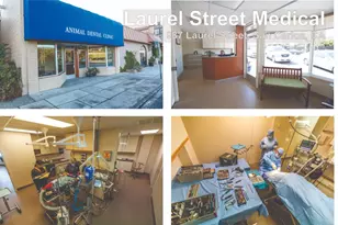 987 Laurel St, San Carlos, CA 94070 - Photo 2