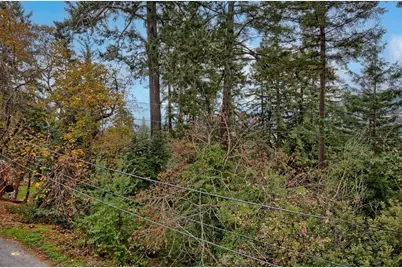 21577 Locust Dr, Los Gatos, CA 95033 - Photo 44