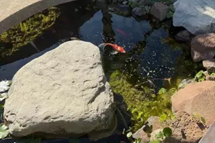 131 30th Ave, Santa Cruz, CA 95062 - Photo 26