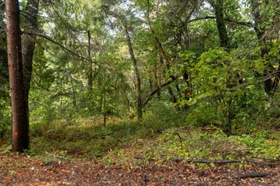 Lot 53 Lakeview Ave, Felton, CA 95018 - Photo 4